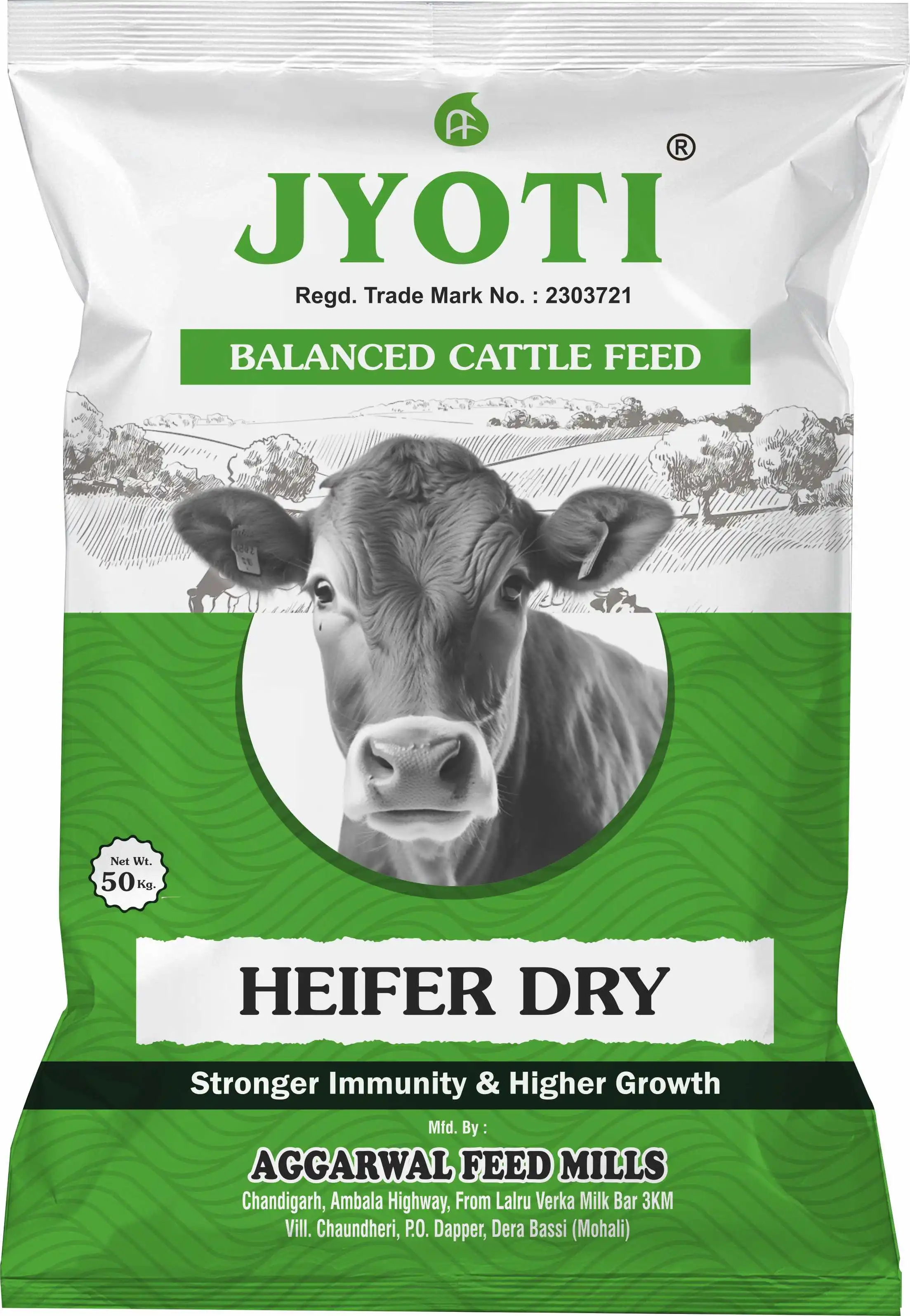 Heifer Dry